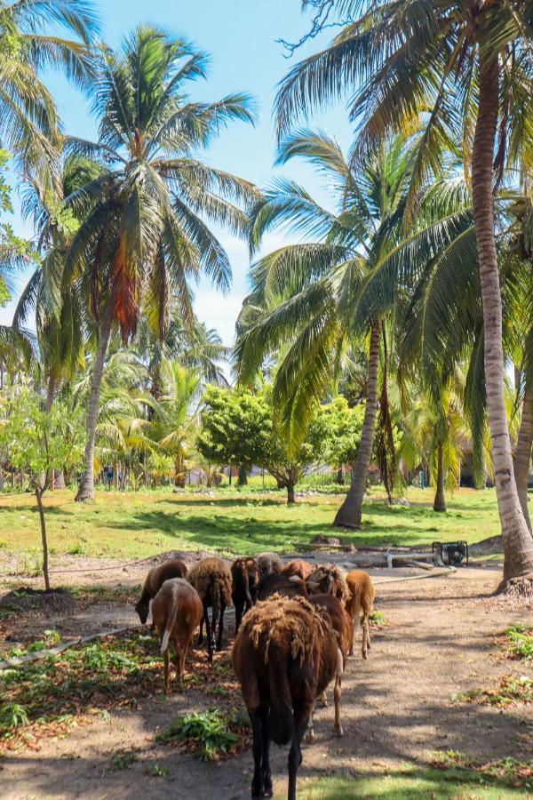 Dahlandia Villa Isla Mucura Bagian luar foto
