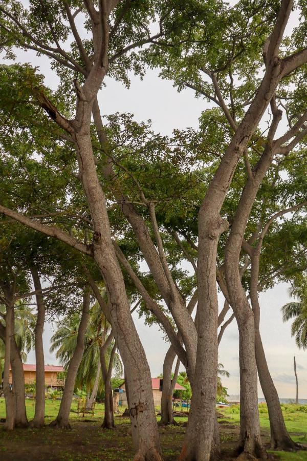 Dahlandia Villa Isla Mucura Bagian luar foto